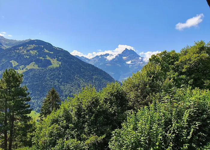 Magnifique Valerie 5 A Coucher & Vue Unique * Gryon