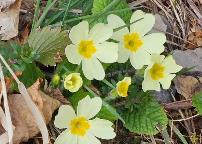 Magnifique Valerie 5 A Coucher & Vue Unique