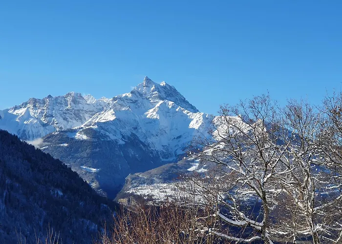 Chalet Magnifique Valerie 5 A Coucher & Vue Unique Gryon