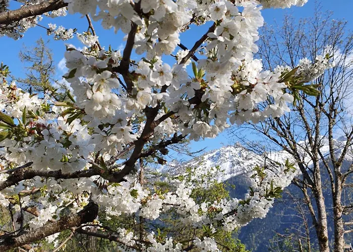 Magnifique Valerie 5 A Coucher & Vue Unique * Gryon