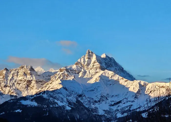 Magnifique Valerie 5 A Coucher & Vue Unique * Gryon